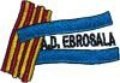 Escudo del Ebrosala