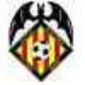 Escudo del Ciutat D Alcira Futbol Base