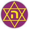 Escudo del Hakoah Amidar Ramat