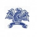 Escudo del Świt Skolwin