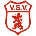 VSV