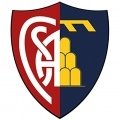 Club crest