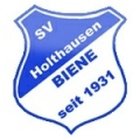 Holthausen-Biene