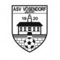 Escudo del Vösendorf