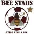 Escudo del EC Bees