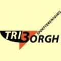 SV Triborgh