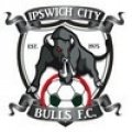 Escudo del Ipswich City II