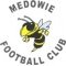 Medowie