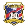 Dalian Shengwei