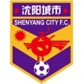 Shenyang City?size=60x&lossy=1