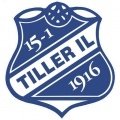 Escudo del Tiller IL