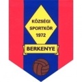 Berkenye