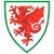 Escudo Pays de Galles U17