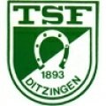 TSF Ditzingen