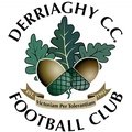Derriaghy CC