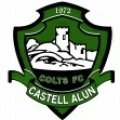 Castell Alun Colts