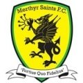Escudo del Merthyr Saints