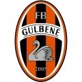 Escudo del Zelis Gulbene
