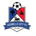 Escudo del Gosnells City