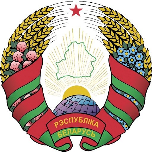 Escudo del Bielorrusia Futsal