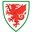 Gales Futsal