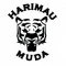 Harimau Muda III