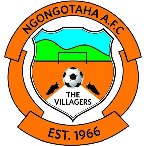 Escudo del Ngongotaha