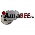 Escudo del AmaBEE