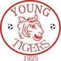 Young Tigers	