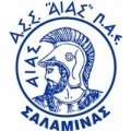 Escudo del Aias Salamina