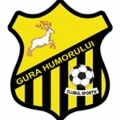 Gura Homorului