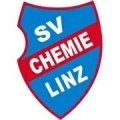 Escudo del Stickstoff Linz