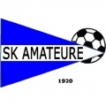 Amateure Steyr