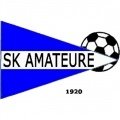 Escudo del Amateure Steyr