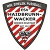 Wacker Wiener Neustadt