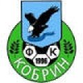 Escudo del FK Kobryn