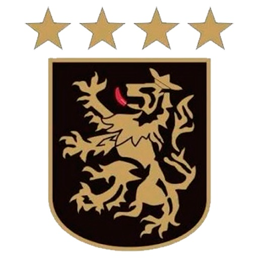 Bankstown City Lions