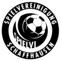 Escudo del SV Schaffhausen