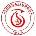Escudo del Torbalispor