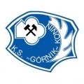 Escudo del Górnik Konin