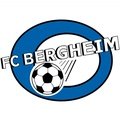 Escudo del Bergheim Hof