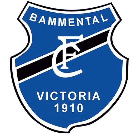 FC Bammental