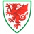 Escudo Wales U-19