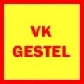 Escudo del VK Gestel