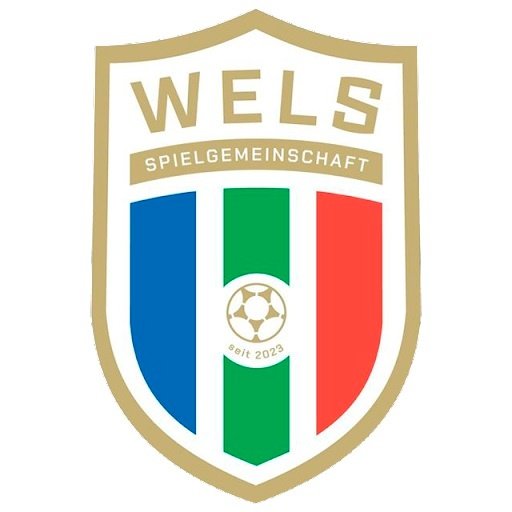 Escudo del Hertha Wels