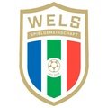 Escudo del Hertha Wels