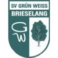 Escudo del Grün-Weiß Brieselang