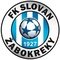 Slovan Žabokreky