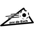 Escudo del ZVV De Esch