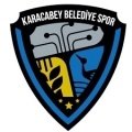 Escudo del Karacabey Birlikspor